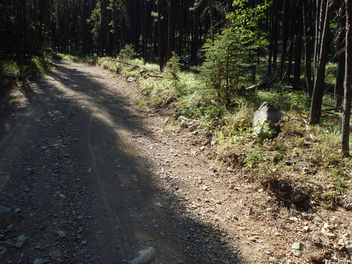 GDMBR: the road condition and climb angle went to heck.